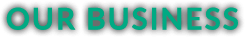 OUR BUSINESS